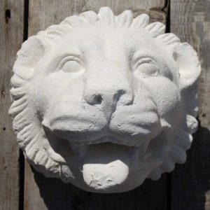 Head of a lion