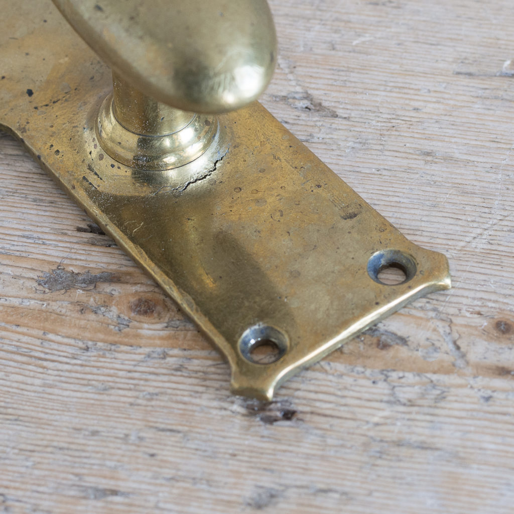 Pair of unusual oval brass door knobs,-119982