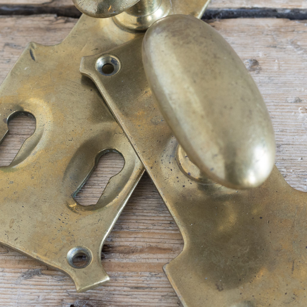 Pair of unusual oval brass door knobs,-119983