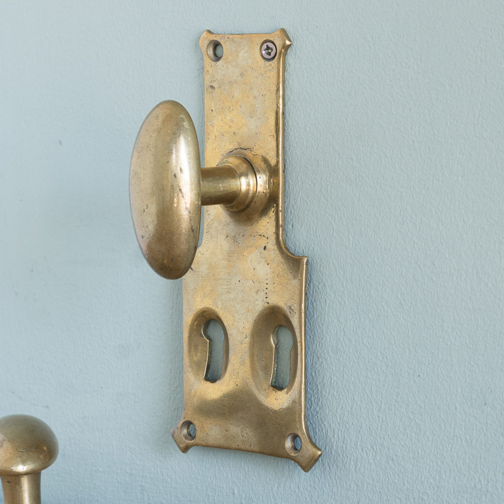 Pair of unusual oval brass door knobs,-119987