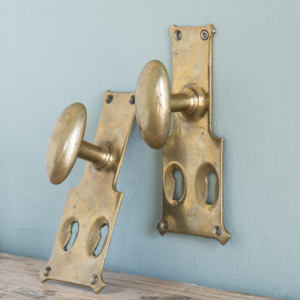 Pair of unusual oval brass door knobs,-119985