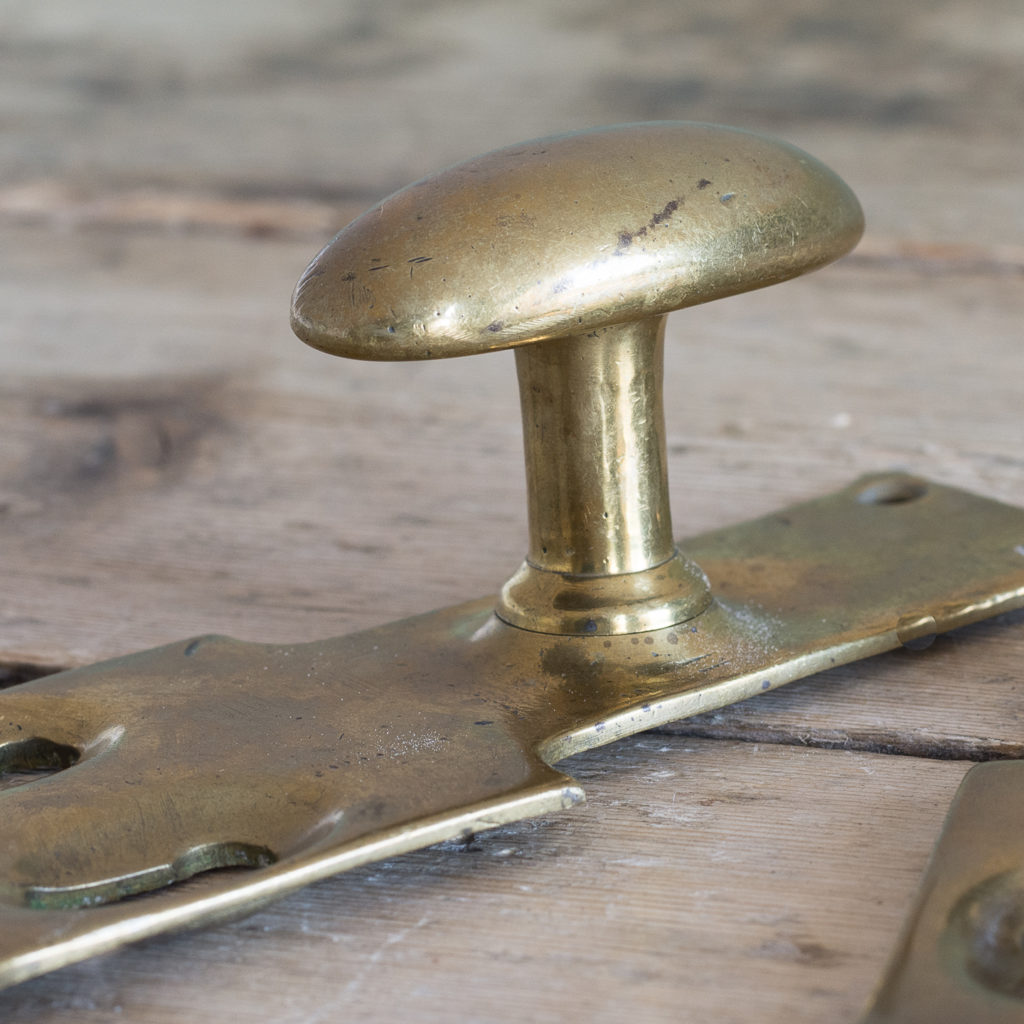 Pair of unusual oval brass door knobs,-119981