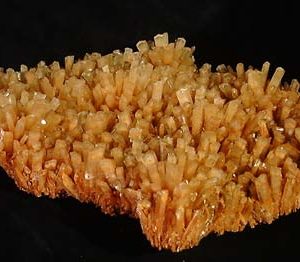 Celemite Gypsum-0