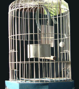 A painted metal Canary birdcage-0