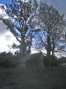 Coach House at LASSCO in 2006 CoachHouse2006