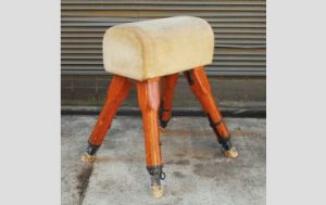 Vintage pommel horse,