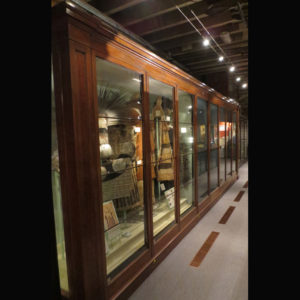 Museum Cabinet