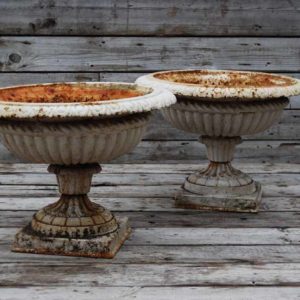 A pair of English cast iron Tazza urns