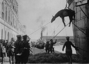Unloading a Horse, Greece 1915