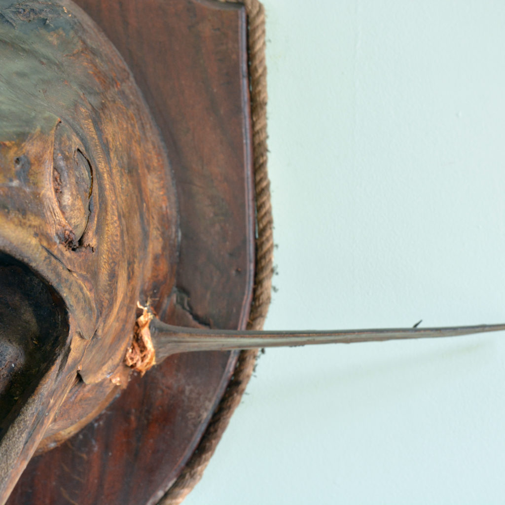 A stuffed and preserved Black Marlin, -91844