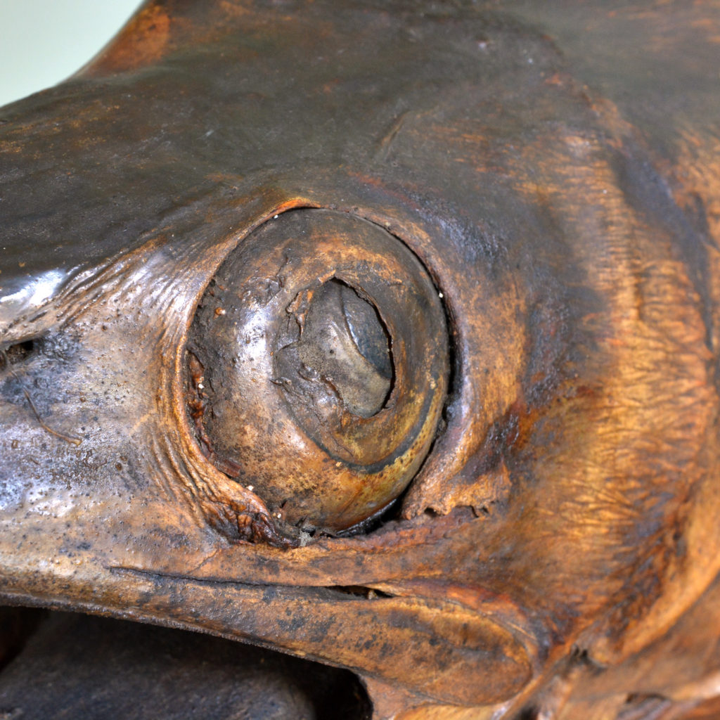 A stuffed and preserved Black Marlin, -91841