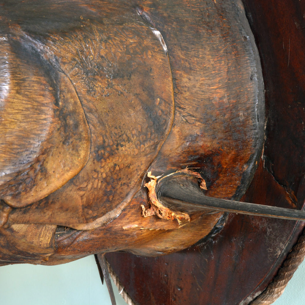 A stuffed and preserved Black Marlin, -91836