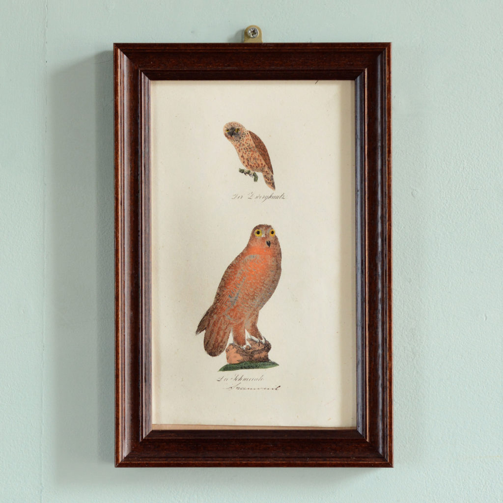 Vogel. Original early 19th century copper-engravings of birds.-0