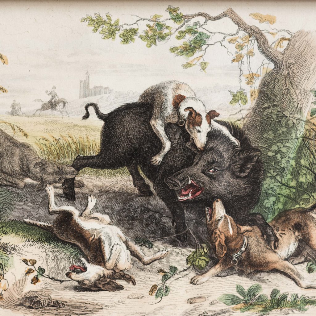 Boar Hunt-103086