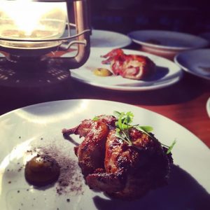 Quail by lamp-light