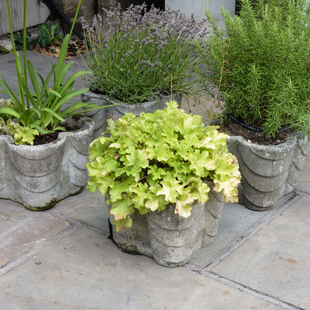 Four quatrefoil composition stone planters,-107287