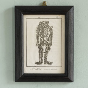 Original 18th century Anatomical prints-0