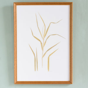 Pressed Flowers and Grasses-0