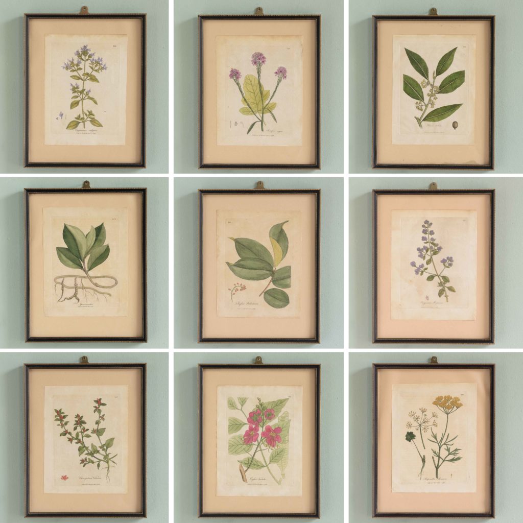 Medical Botany, original prints published 1792,-108062