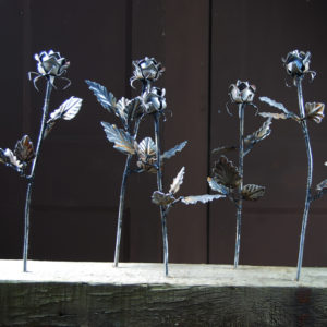 Steel Roses