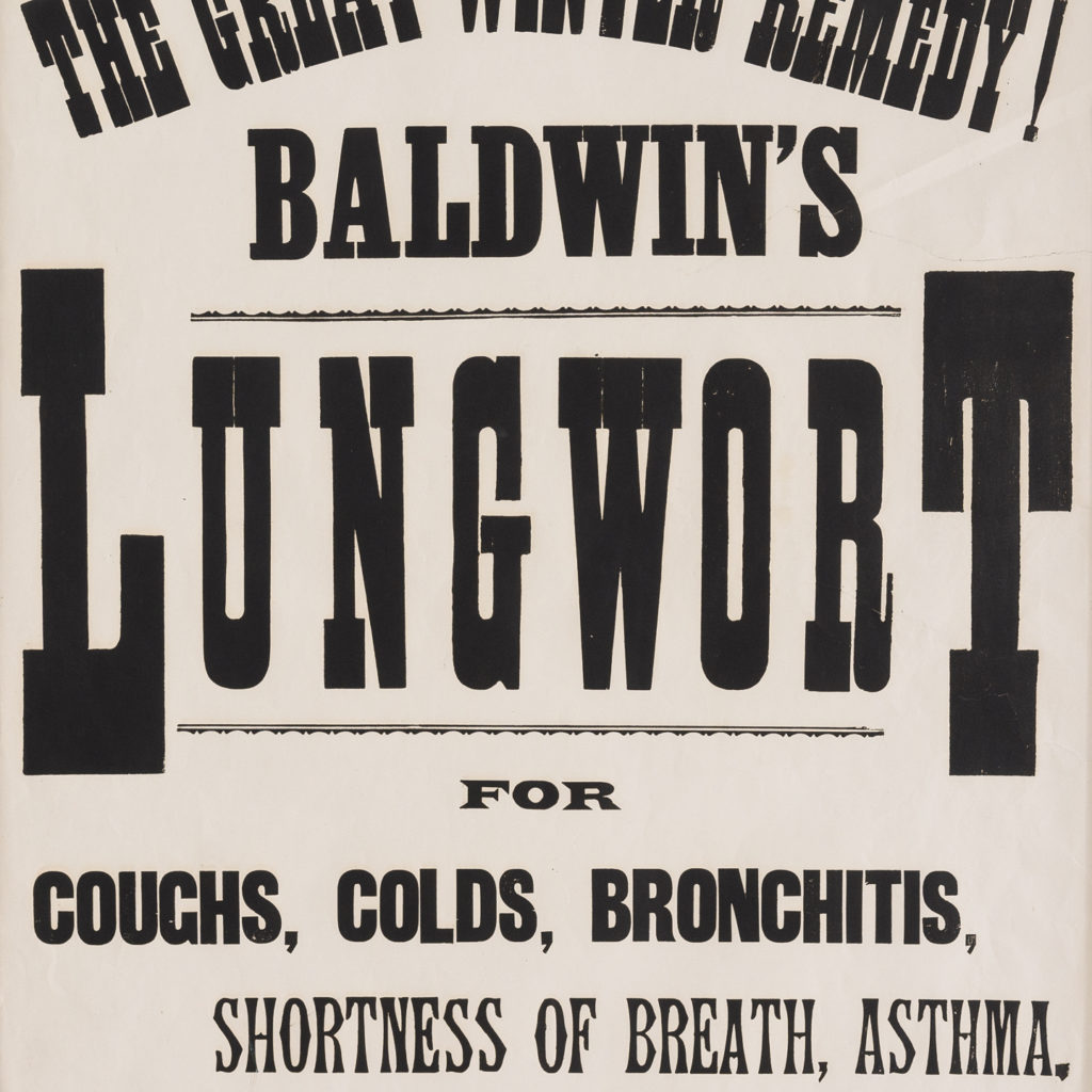 Original chemist shop advertising poster, Baldwin's Lungwort-112635