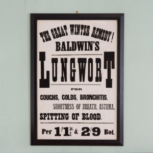 Original chemist shop advertising poster, Baldwin's Lungwort-0