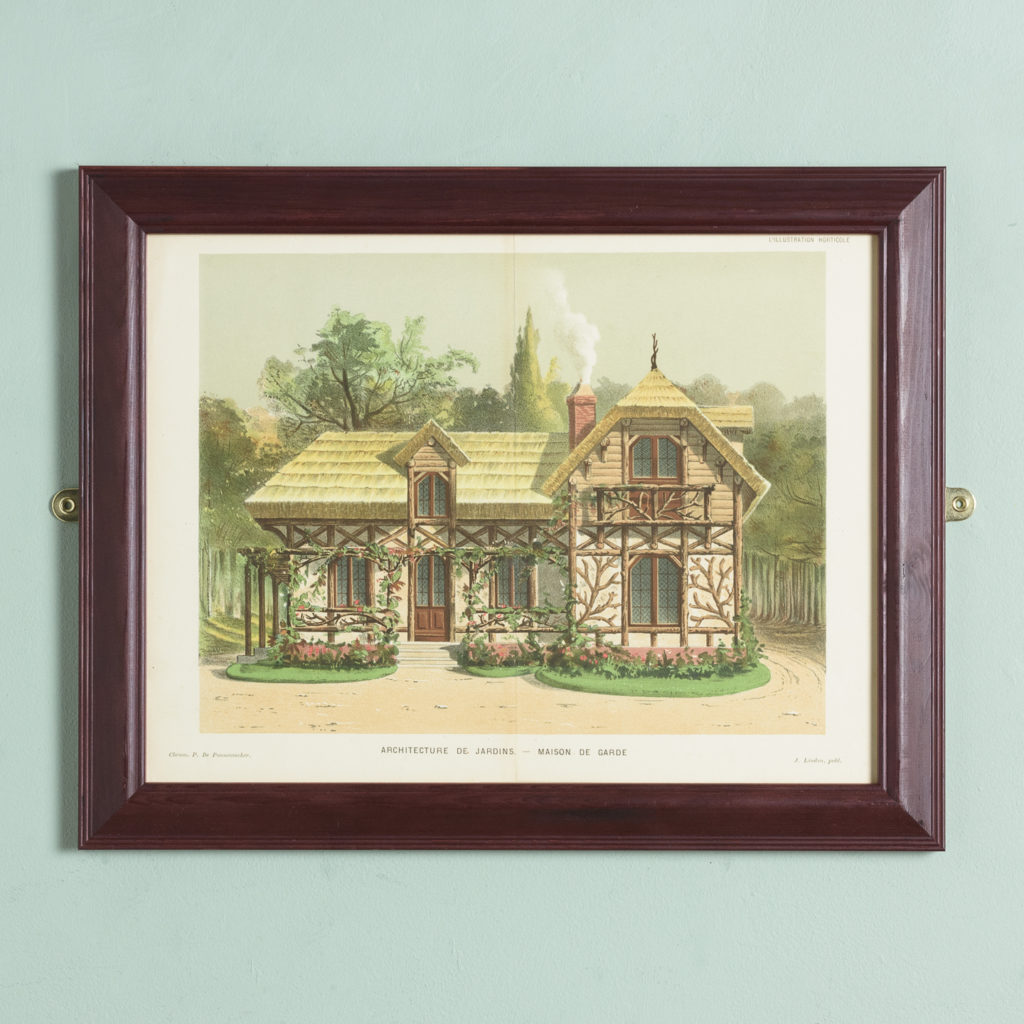 Original chromolithograph botanical prints,-0