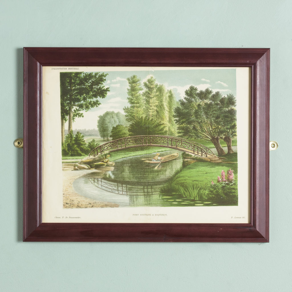 Original chromolithograph botanical prints,-0