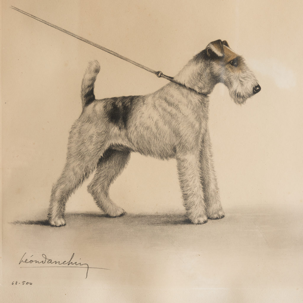 Original aquatint of Two Fox Terriers-116351