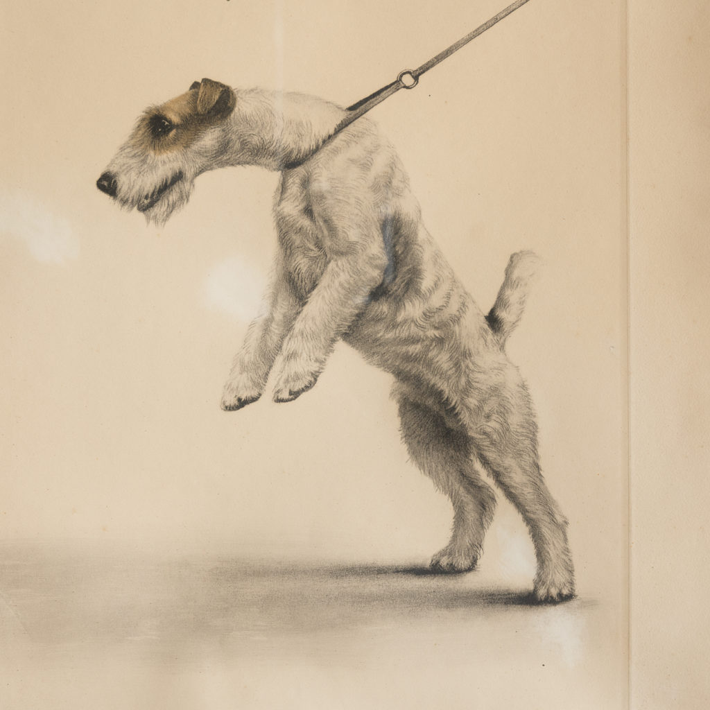 Original aquatint of Two Fox Terriers-116352