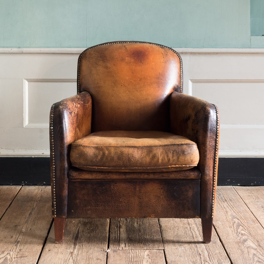 Leather and beech club chair