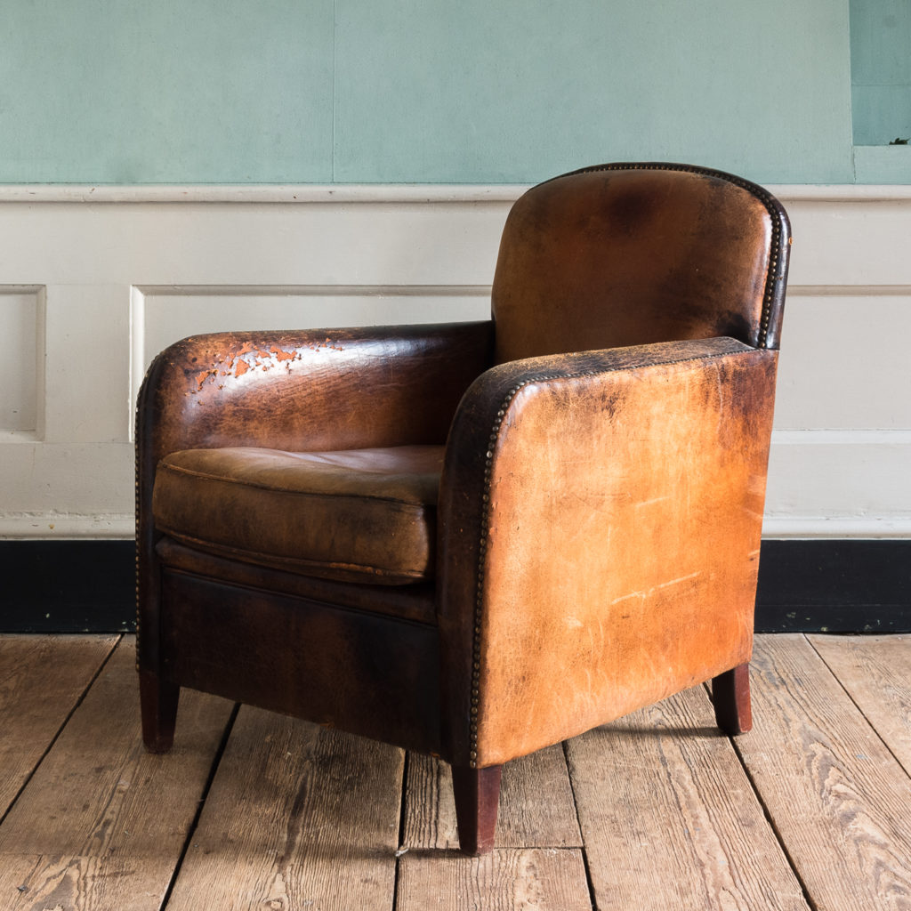 Leather and beech club chair