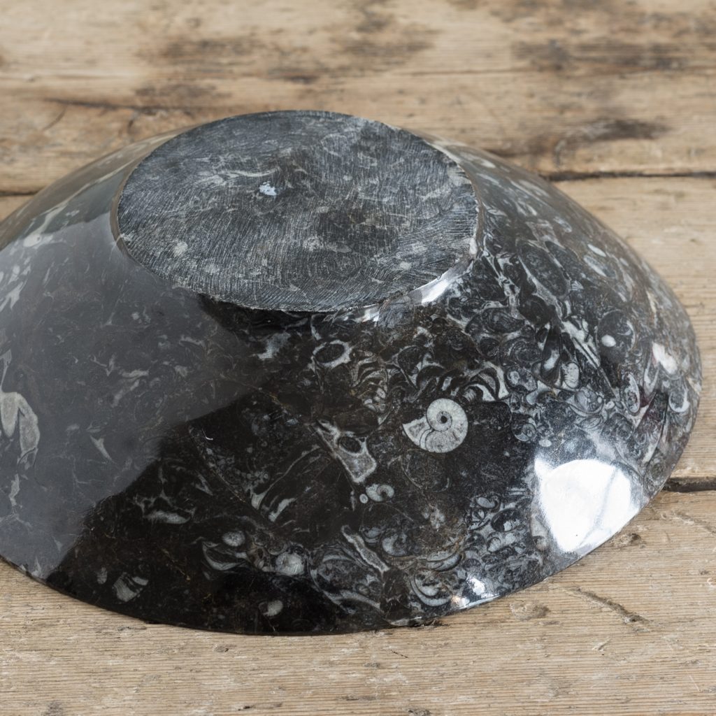 Orthoceras black fossil marble serving bowl