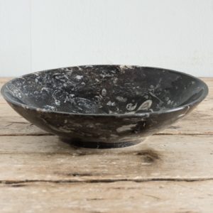 Orthoceras black fossil marble serving bowl