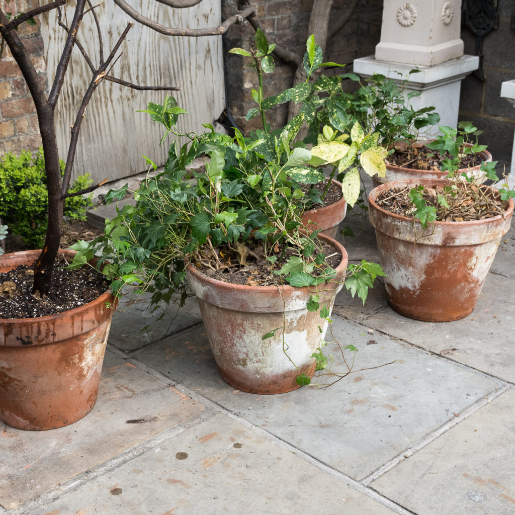 Weathered terracotta planters,