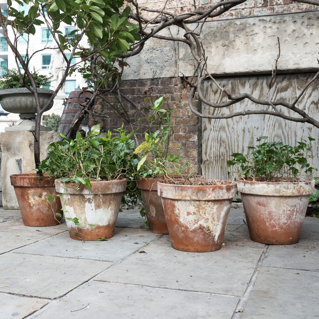 Weathered terracotta planters,