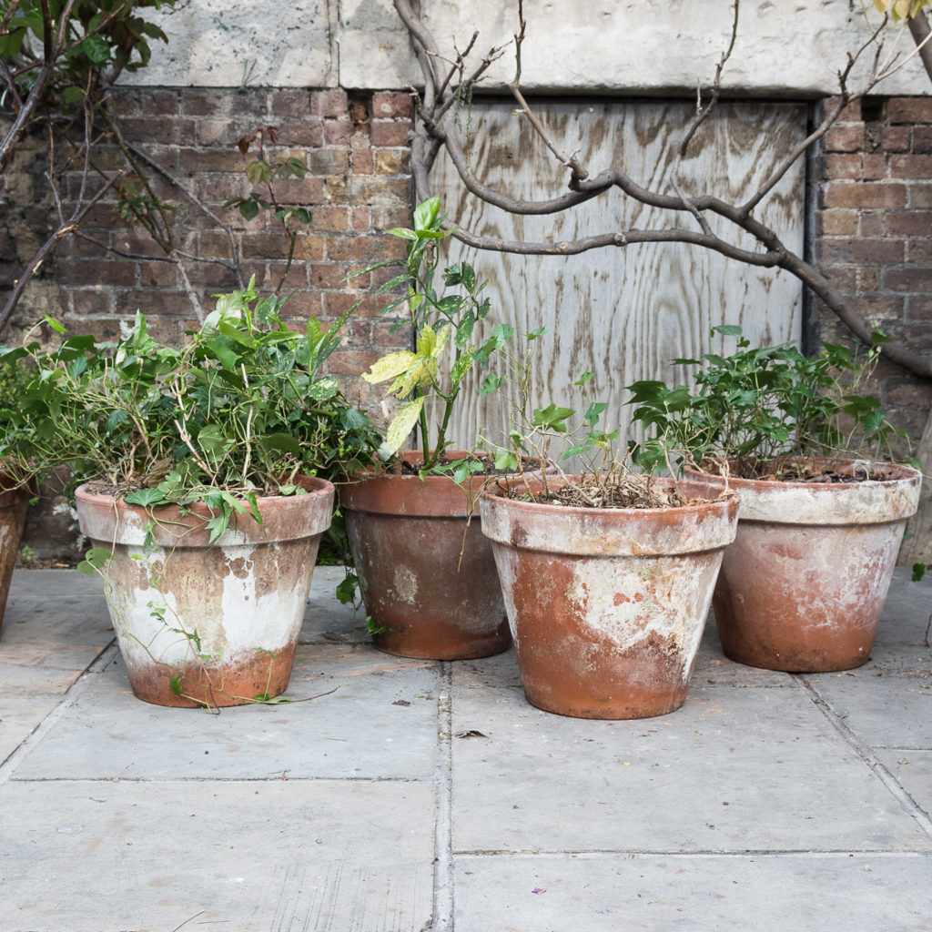 Weathered terracotta planters,