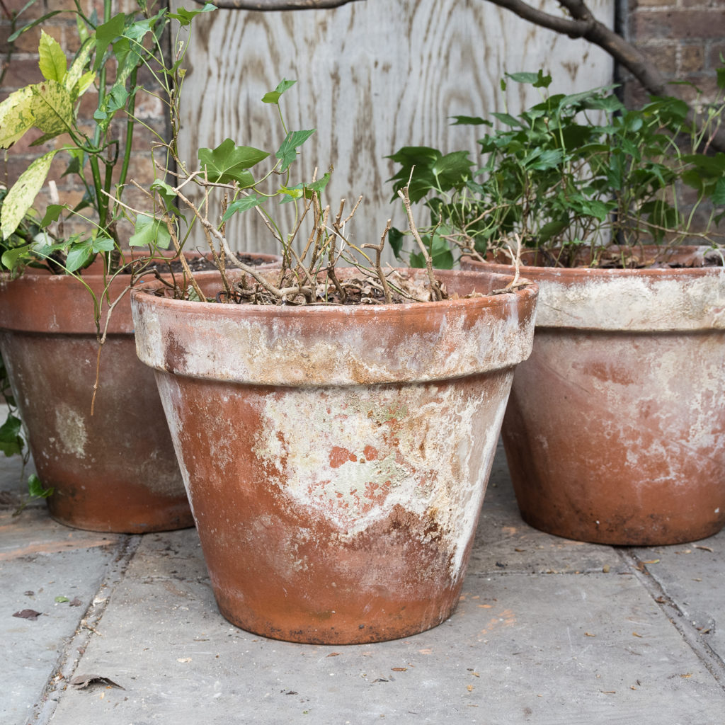 Weathered terracotta planters,