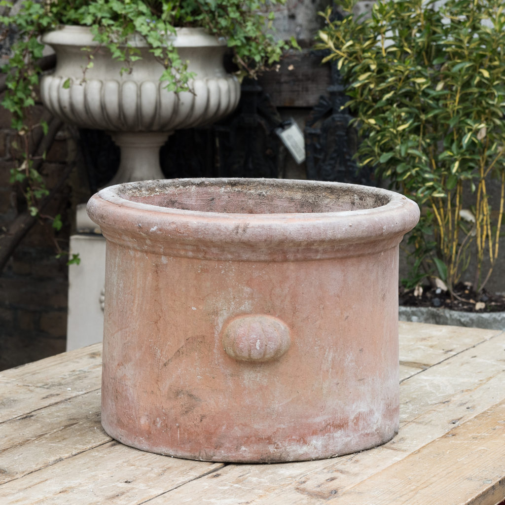 Round terracotta planter,