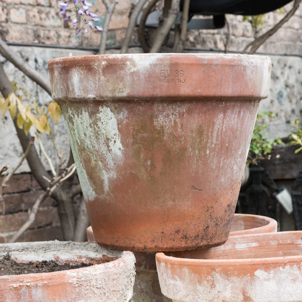 Weathered terracotta planters,