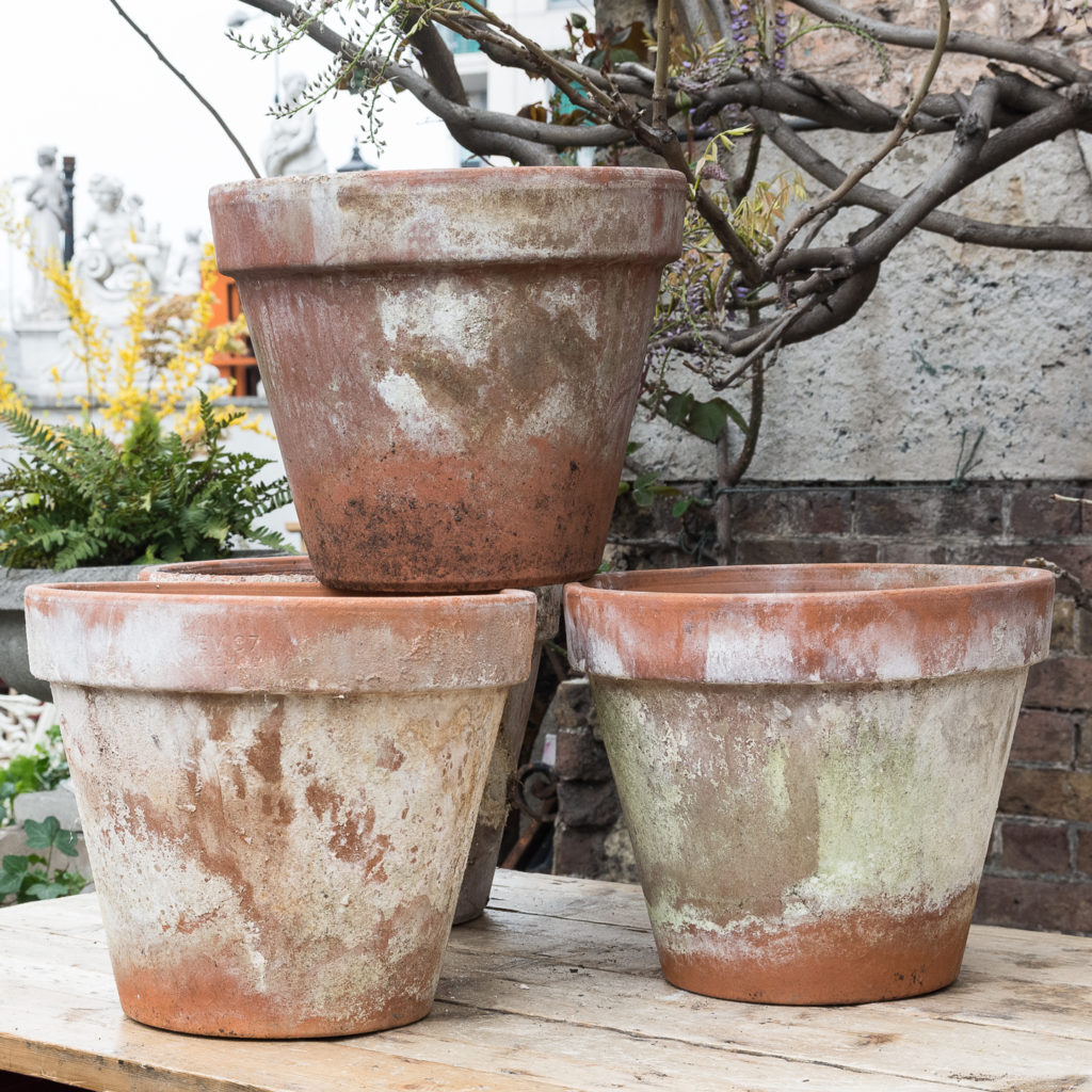 Weathered terracotta planters,