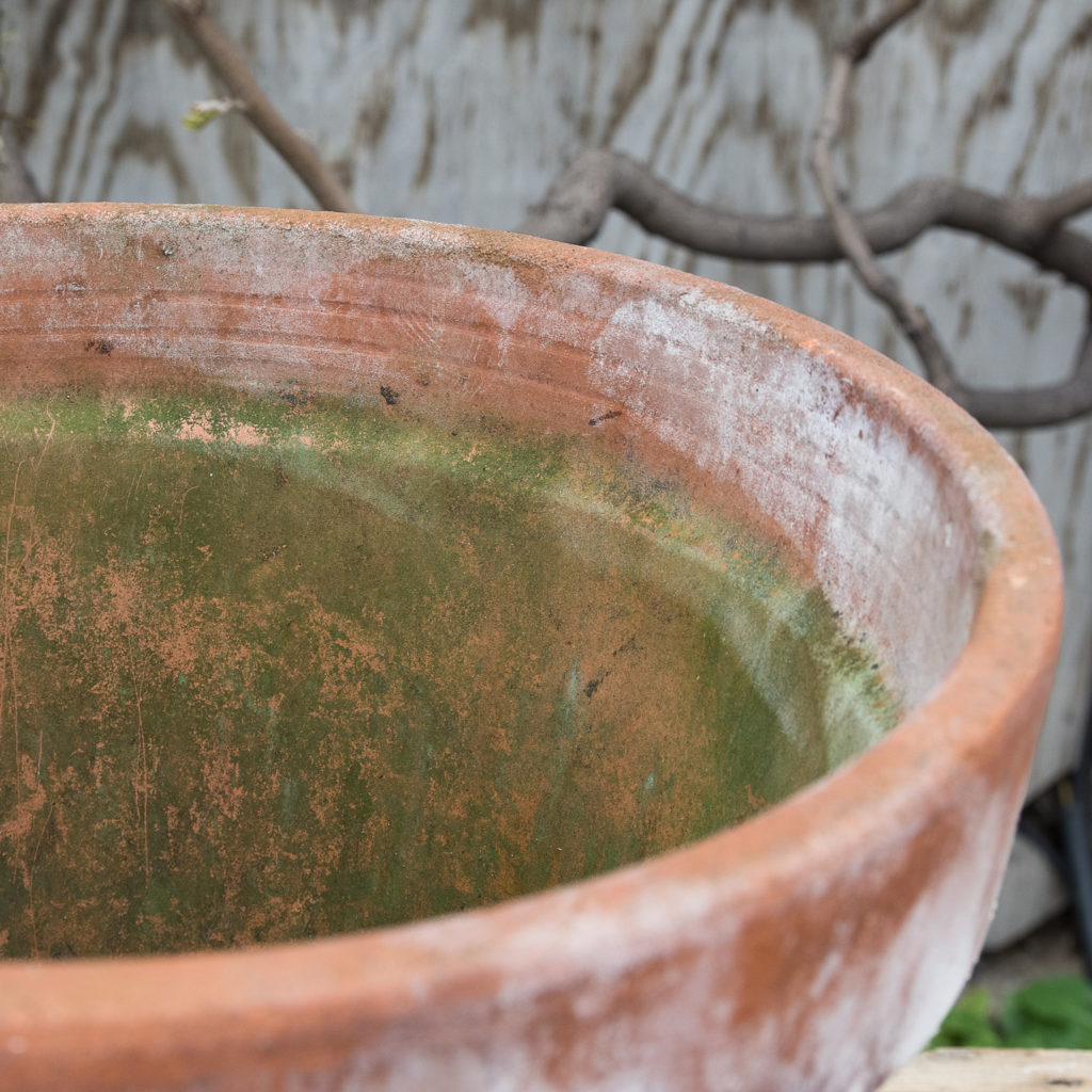 Weathered terracotta planters,-127647