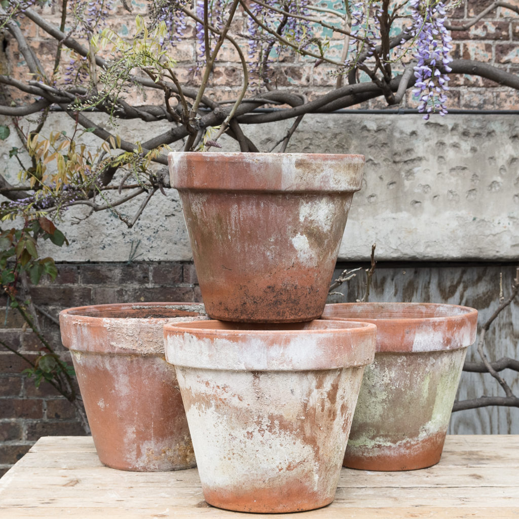 Weathered terracotta planters,