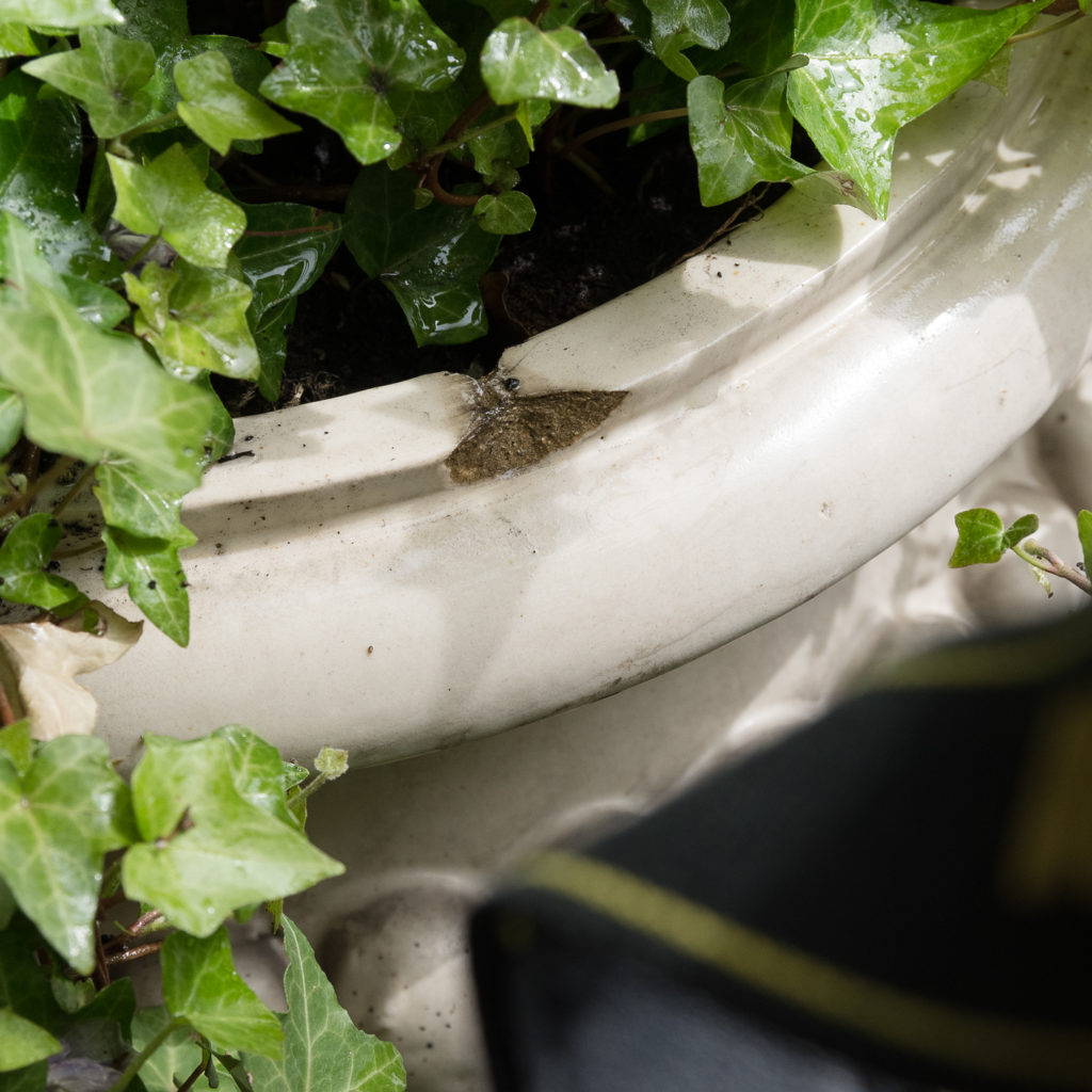 Pair of Victorian glazed terracotta tazza urns with pedestals,-127796