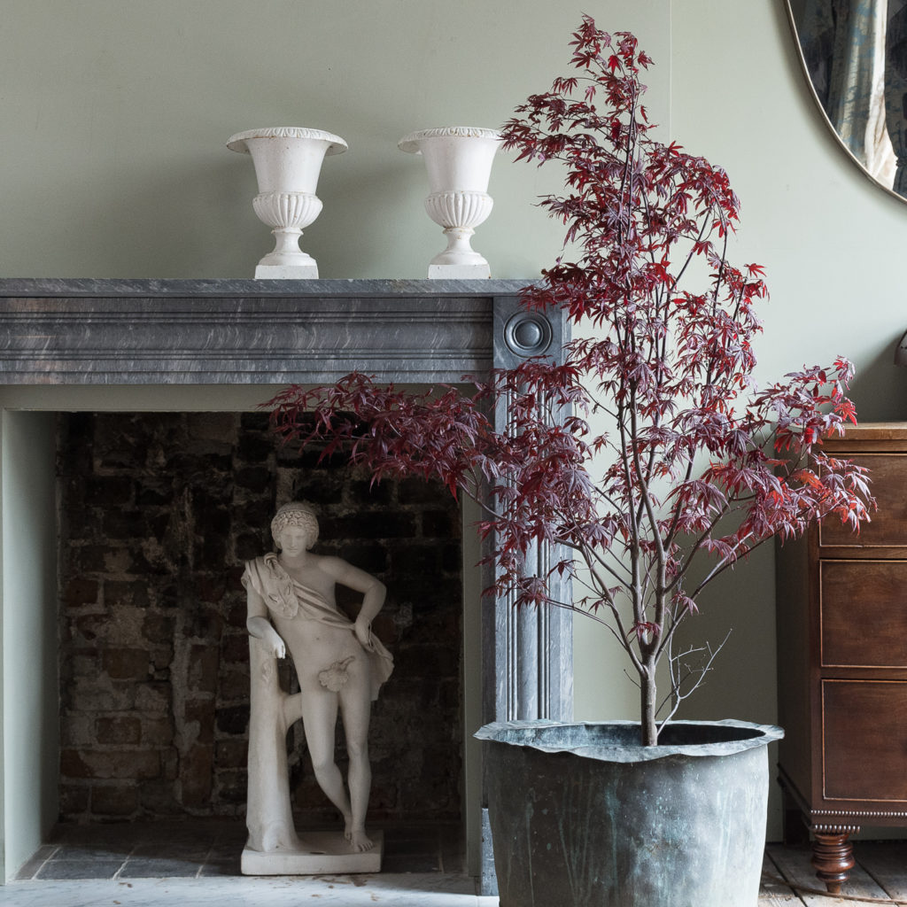 Regency dove grey marble bullseye chimneypiece in situ at LASSCO Brunswick House