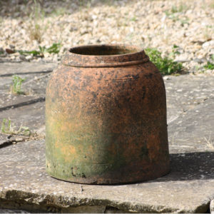 terracotta seakale forcer