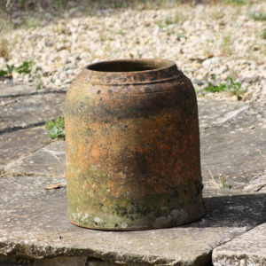 terracotta seakale forcer