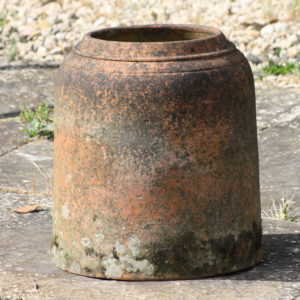 terracotta seakale forcer