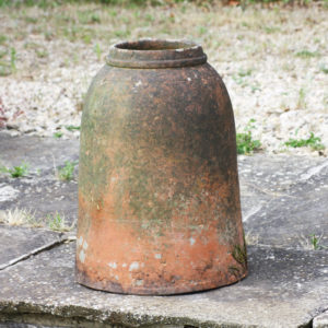 terracotta seakale forcer