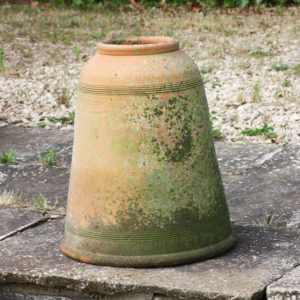 terracotta rhubarb forcer